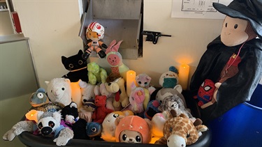 Stuffies in the Book Drop